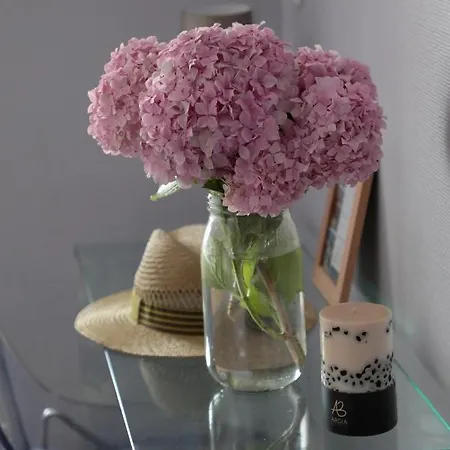 爱吉亚酒店 酒店